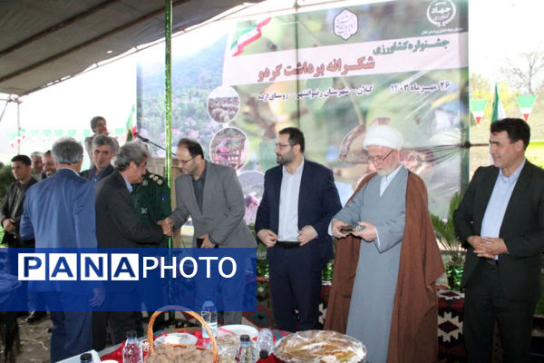 جشن شکر گزاری برداشت گردو 