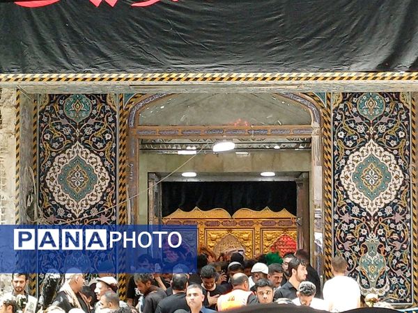پیاده‌رویی نجف تا کربلا در آستانه اربعین حسینی 