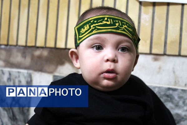 همایش شیرخوارگان حسینی در گلوگاه 