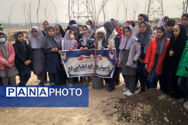 برگزاری مراسم روز درختکاری در شهرک وحدت شهرستان فردیس 