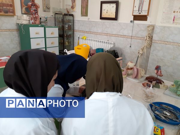 برگزاری مرحله استانی جشنواره نوآوری در بجنورد