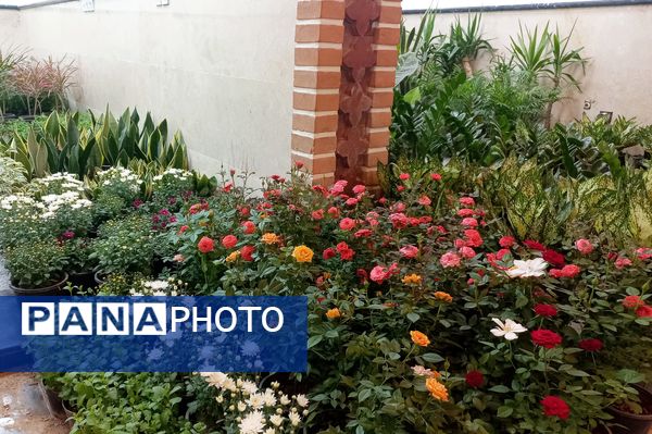 نمایشگاه گل و گیاه در نمایشگاه دائمی قرچک