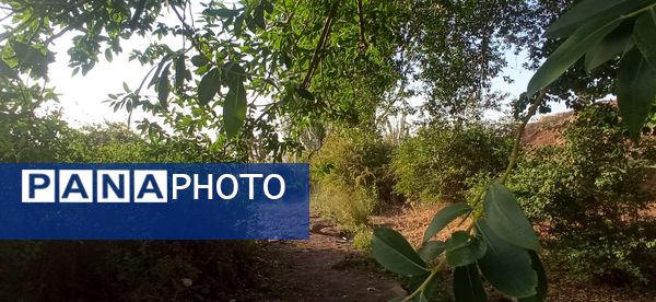 مزار گردشگری کلاته بایزید، گوهر پنهان طبیعت در دل کوهستان 