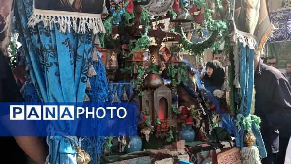 روایت اشک و ارادت عاشقان در سوگ وفات حضرت معصومه(س)