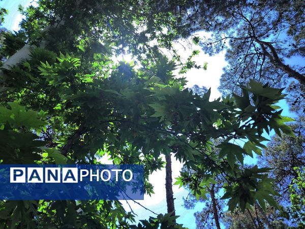 بازدید از باغ وحش ارم ،تجربه‌ای بی‌نظیر در دنیای شگفت‌انگیز حیوانات 