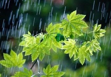 فعالیت سامانه بارشی در کشور از شنبه و بارش باران در اغلب استانها