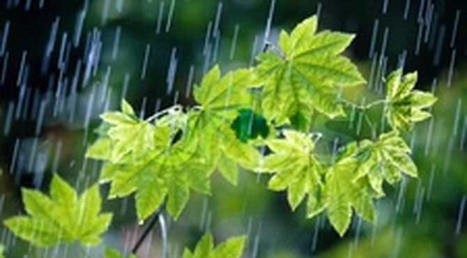 فعالیت سامانه بارشی در کشور از شنبه و بارش باران در اغلب استانها