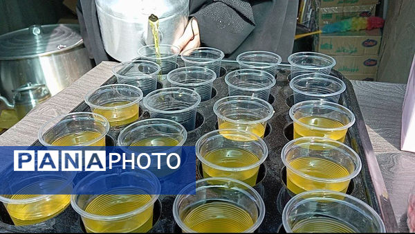 پیاده‌روی عاشقان اهل بیت به «شهر بهشت» مشهدالرضا 
