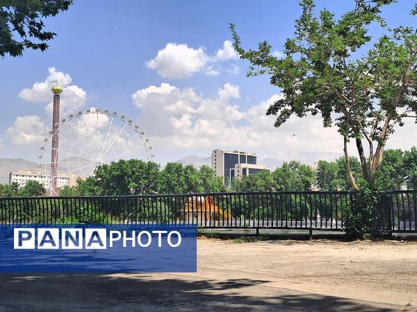 بازدید از باغ وحش ارم ،تجربه‌ای بی‌نظیر در دنیای شگفت‌انگیز حیوانات 