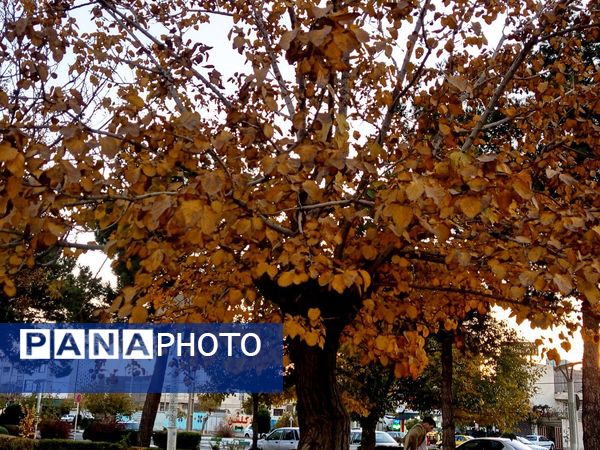 طبیعت زیبای کاشمر در پاییز