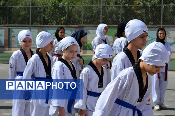 کلید خوردن طرح ملی «میدان پویا» در بهارستان‌دو