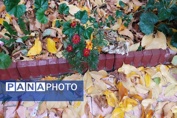 اولین باران پاییزی قابی شفاف از پاییز  رنگارنگ را در شهر زیبای بار رقم زد