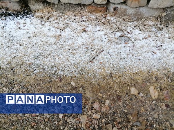 گذری بر بارش برف زمستانی در شهر بار