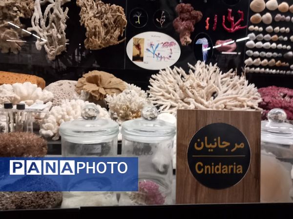 بازدید از پارک علمی تفریحی پروفسور بازیما مشهد