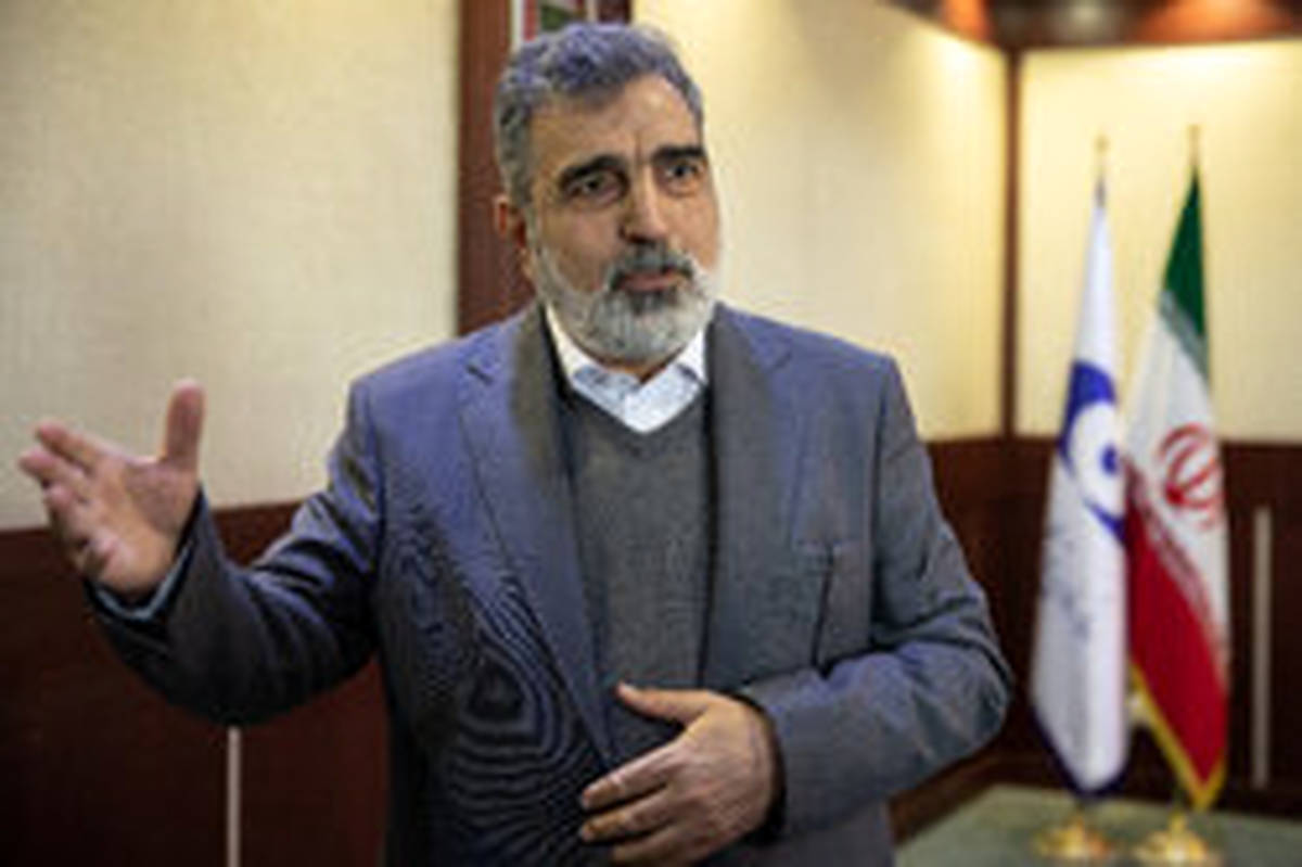 کمالوندی: ایران مقابل فشارهای سیاسی از حقوق خود کوتاه نمی‌آید