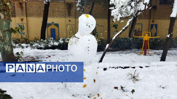 درختان طلایی ، سفید پوش شدند 
