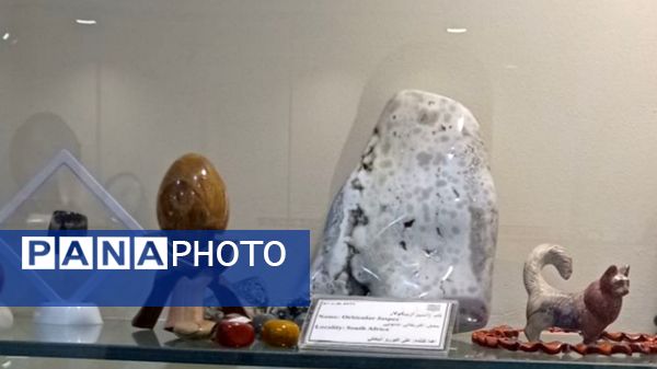 بازدید مدرسه ساره از پارک موزه علوم زمین