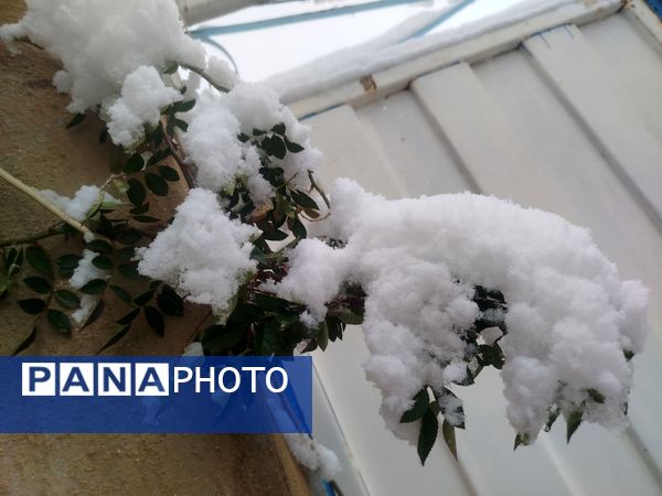 جلوه های زیبا از بارش برف در شهرستان نیشابور 