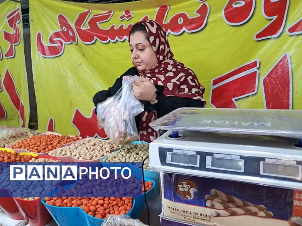 بازدید از نمایشگاه پاییزه سفر به شهرهای ایران