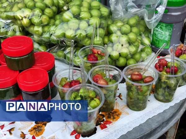 چهارمین جشنواره آلوچه در شهرستان صومعه‌سرا