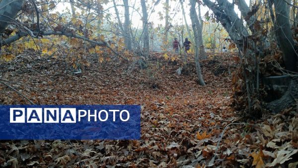 نگاهی کوتاه به طبیعت پاییزی امامزاده بابا پیر احمد (ع) شهرستان بن 