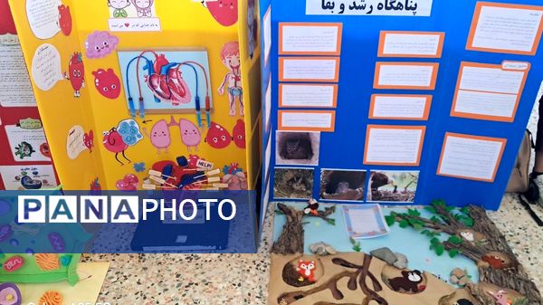 نمایشگاه منطقه‌‌‌ای طرح «جابربن‌‌‌‌حیان» در حاجی‌آباد 
