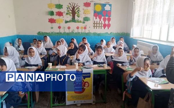 پویش مسواک خشک در مدرسه ضحی ۱ شهرستان شیروان
