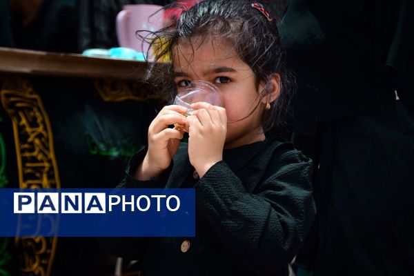 زابل در ماتم حسین؛ گلزار شهدا شهرستان زابل میزبان اشک و شور عزاداران حسینی