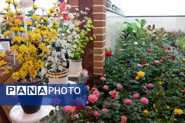 نمایشگاه گل و گیاه در نمایشگاه دائمی قرچک