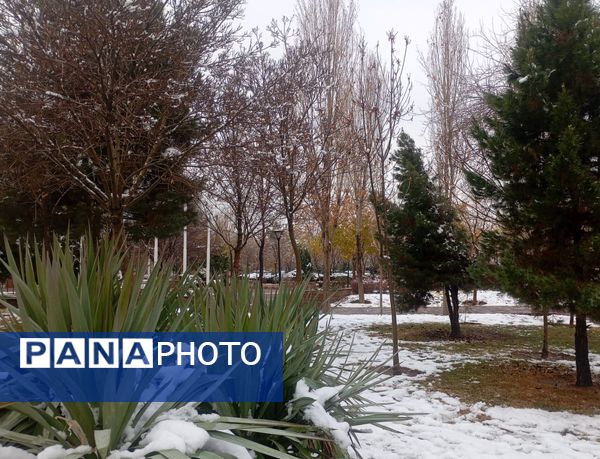 بارش برف در شهر زیبای مشهد 