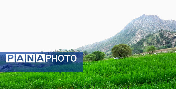 طبیعت بسیار خاص منطقه زیودار شهرستان معمولان