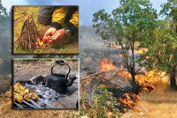 تابستان بدون حریق در جنگل‌ها و مراتع بم