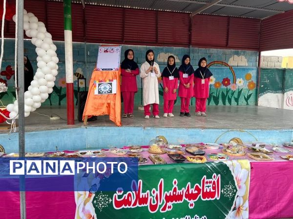 طرح ملی «ماهر و سفیران سلامت» در آموزشگاه زینبیه خورموج دشتی 