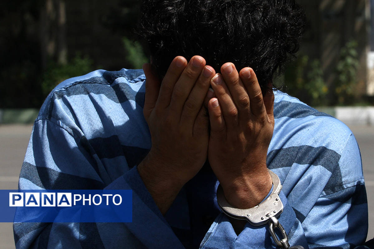 قاچاقچیان چوب در کجور مازندران زندانی شدند