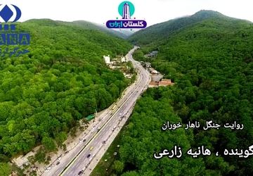ناهارخوران؛ تپش سبز ایران در قلب گلستان