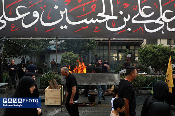 جاماندگان اربعین حسینی - تهران