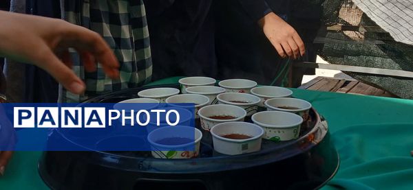 وداع دانش‌آموزان هنرستان الزهرا با پیکر مطهر شهید گمنام