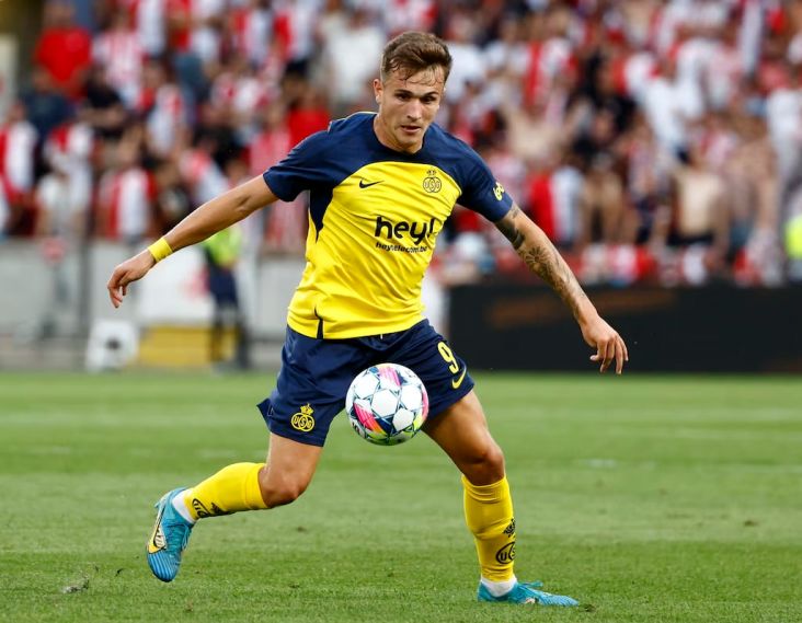 «دنیس اکرت» در یک قدمی اردوگاه یوزها/ قلعه‌‍نویی: قرار است پدر “دنیس اکرت” برای مذاکره به ایران بیاید