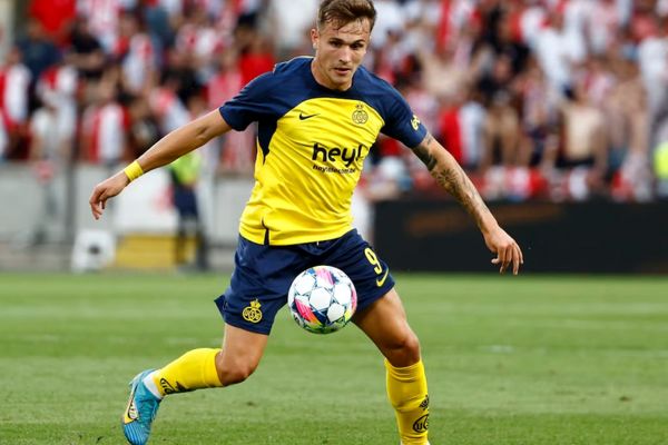 «دنیس اکرت» در یک قدمی اردوگاه یوزها/ قلعه‌‍نویی: قرار است پدر “دنیس اکرت” برای مذاکره به ایران بیاید