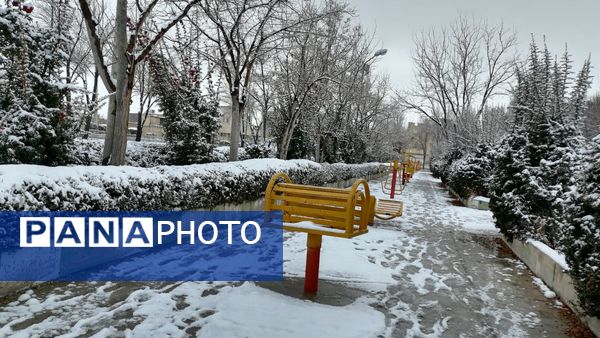 بروجن در پوشش سفیدی برف