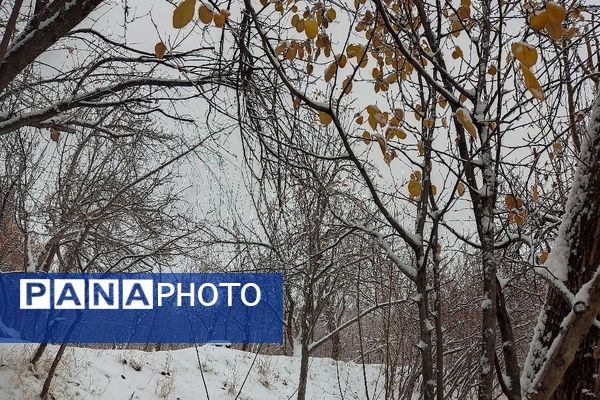 یک قدم مانده به زمستان طبیعت شهر بار کاملاً زمستانی شد