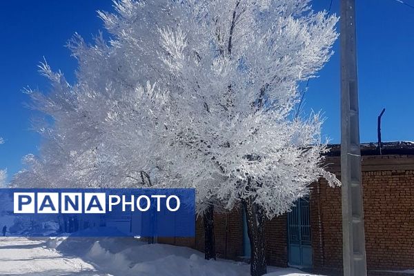 عروس فصل‌ها باری دیگر مهمان شهرستان بن