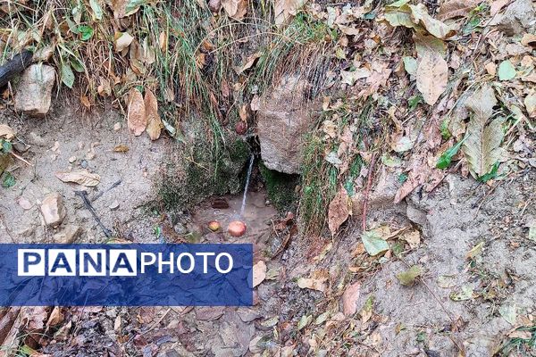 چهره شفاف و دل انگیز شهربارنیشابور با بارش  باران پاییزی  