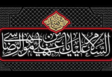  دلگویه جامانده از زیارت امام رضا(ع) 