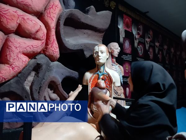 بازدید از پارک علمی تفریحی پروفسور بازیما مشهد