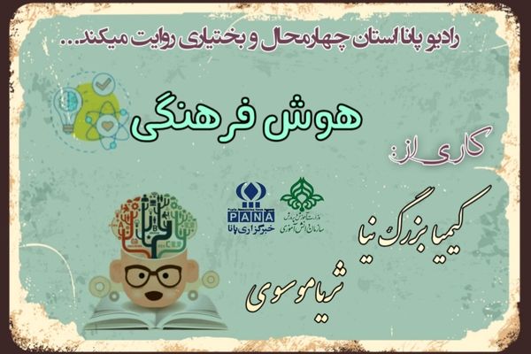 هوش فرهنگی