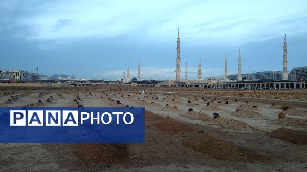 عطر آرامش در آستان پیامبر رحمت