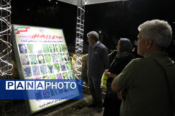 هشتمین جشنواره انگور ارومیه
