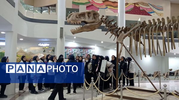 بازدید مدرسه ساره از پارک موزه علوم زمین