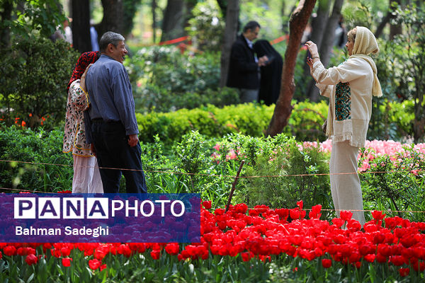 فصل لاله‌ها در بوستان باغ ایرانی